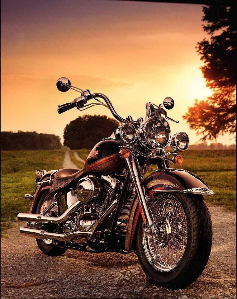 Via HD Photo of the Day, FB | Harley bikes, Harley davidson bikes ...