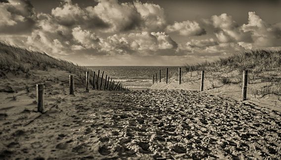 Strandopgang Salt And Water, Sepia, All Over The World, Seascape, Sea Shells, Fine Art America, Dutch, Farmland, Digital Art