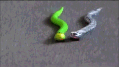 funny joke toy snake