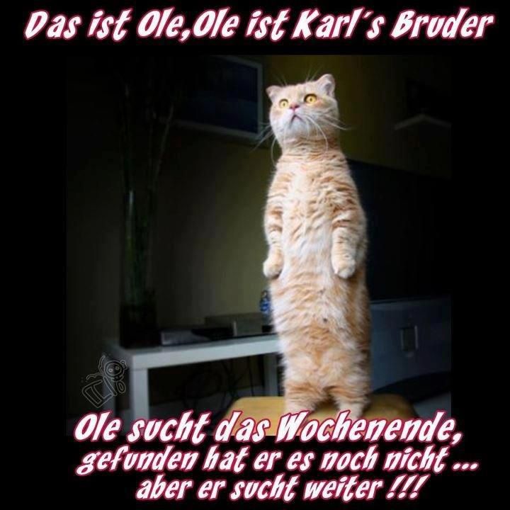 Er sucht sie lustig