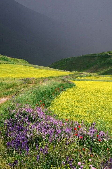 green mountain nature pinterest green mountain landscaping