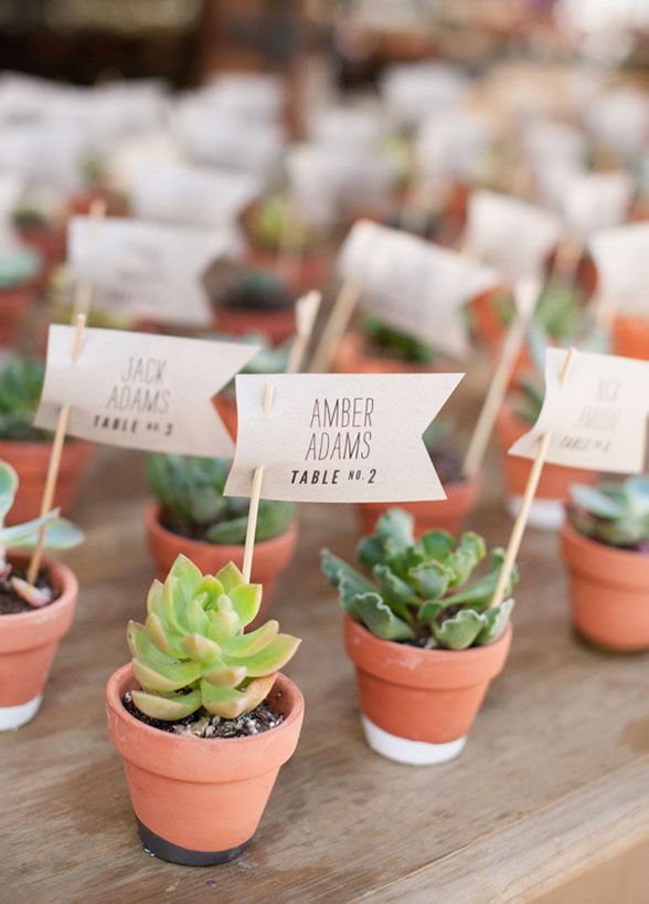 Succulents Make For A Sweet Escort Card Idea And Double As Wedding Favor Your Guests Succulents Make For A Sweet Escort Card Idea And Double As Wedding Favor Your Guests