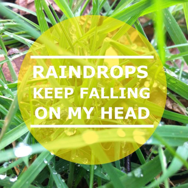 lyrics raindrops keep falling on my head lyrics raindrops keep falling on my head
