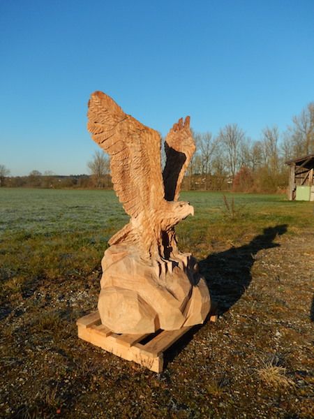 Pin von jan biedermann auf adler pinterest holz Pin von jan biedermann auf adler pinterest holz