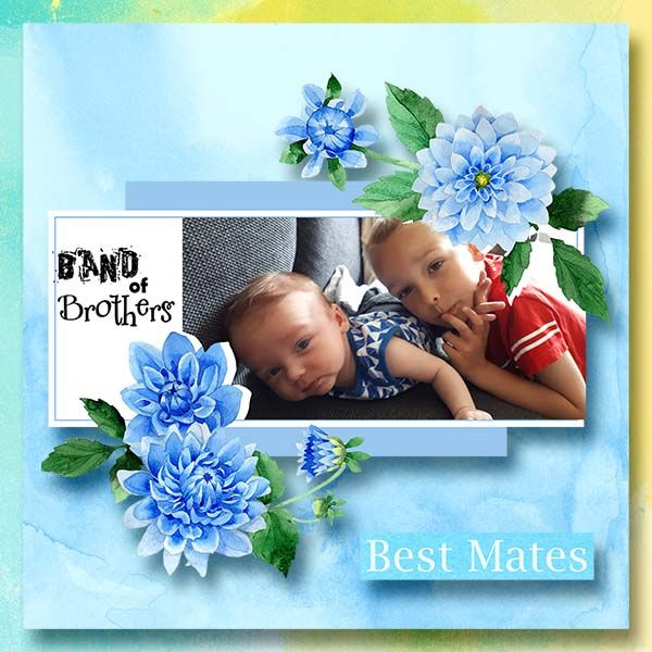" #Promotion I received this product for free as part of my Creative Team work for the designer. I will show you an example of the product with my layout. Best Friends forever by JulieC Designs and is avaialble at https://www.digitalscrapbookingstudio.com/julie-c-designs/ Scrapbook Software, Digital Scrapbooking Kits, Scrapbook Kits, Best Mate, Band Of Brothers, Best Friends Forever, Gimp, Color Collection, Photoshop Elements