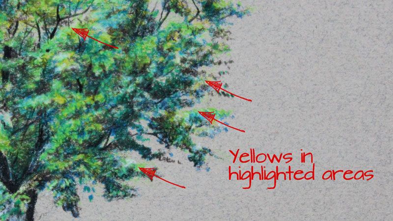 how to draw a tree with colored pencils tree pinterest colored