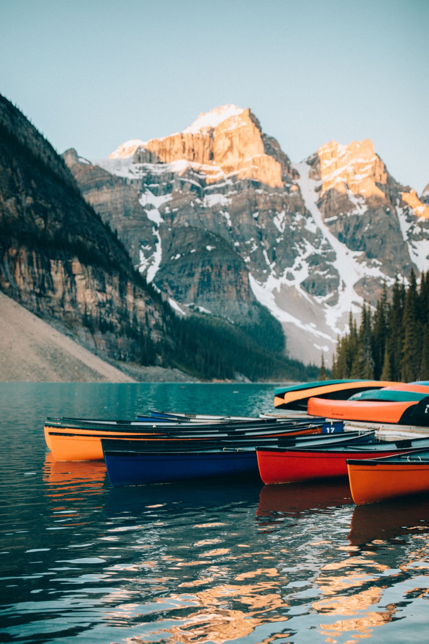 alberta grade 8 social studies worksheets