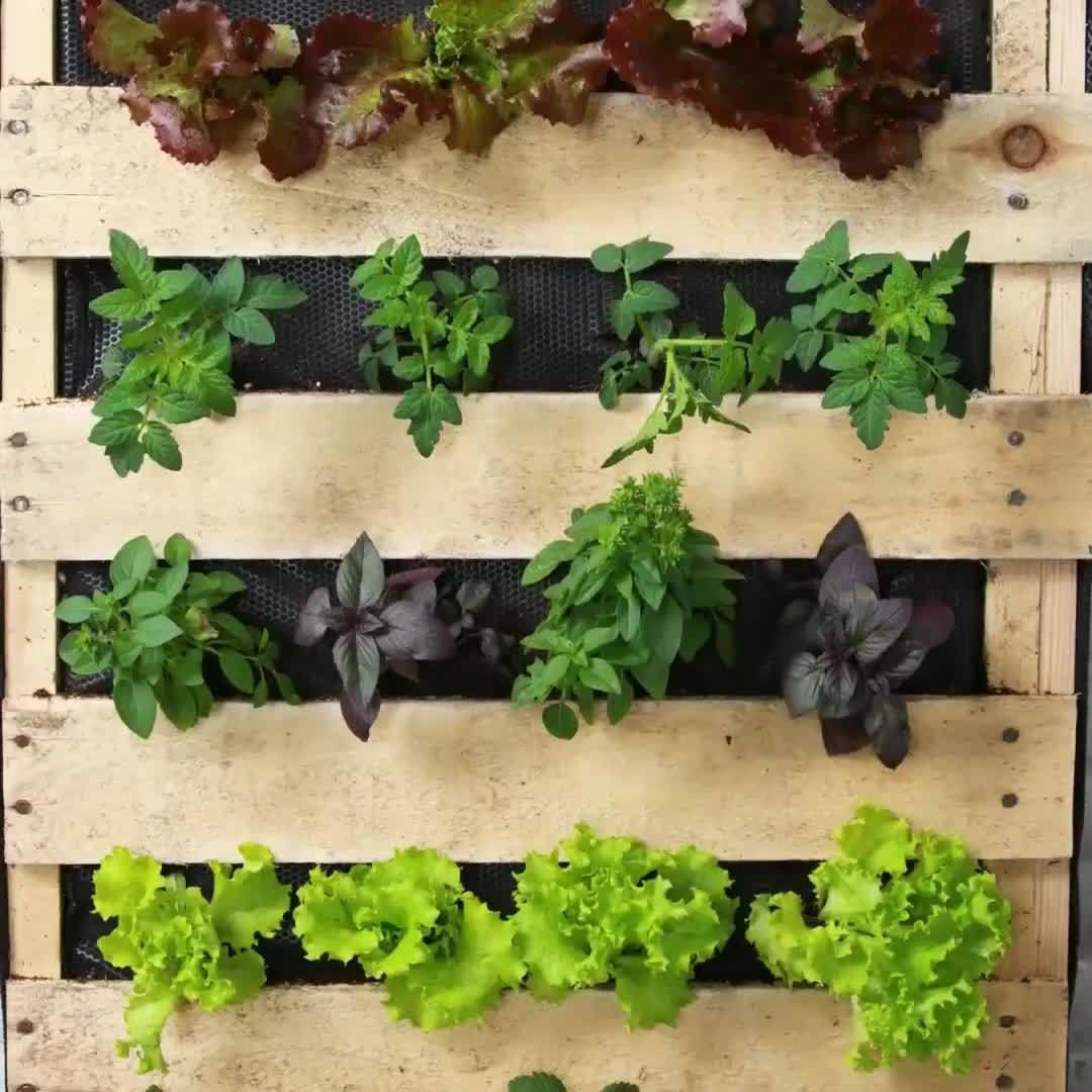 Nifty on Instagram: “Make gardening decorative with this vertical fruit & veggie garden!”