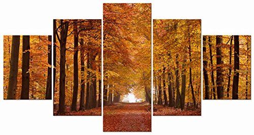 Autumn Forest Leaves Photo on Canvas Print Framed Wall Art Ready to Hang Decor