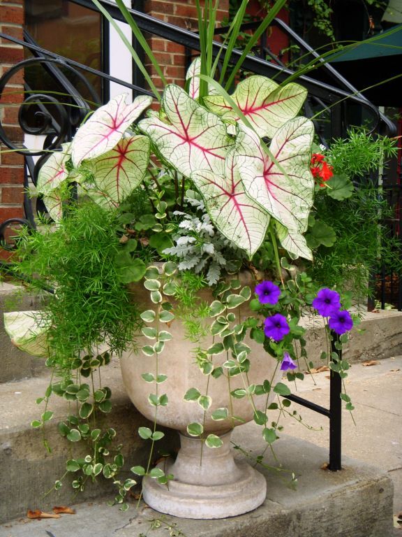 24 Creative Garden Container Ideas With Pictures