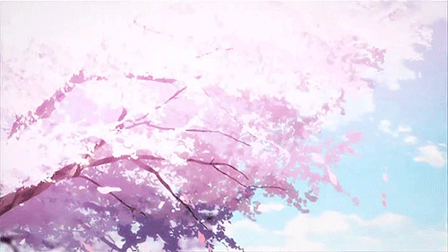 cherry blossom petals gif
