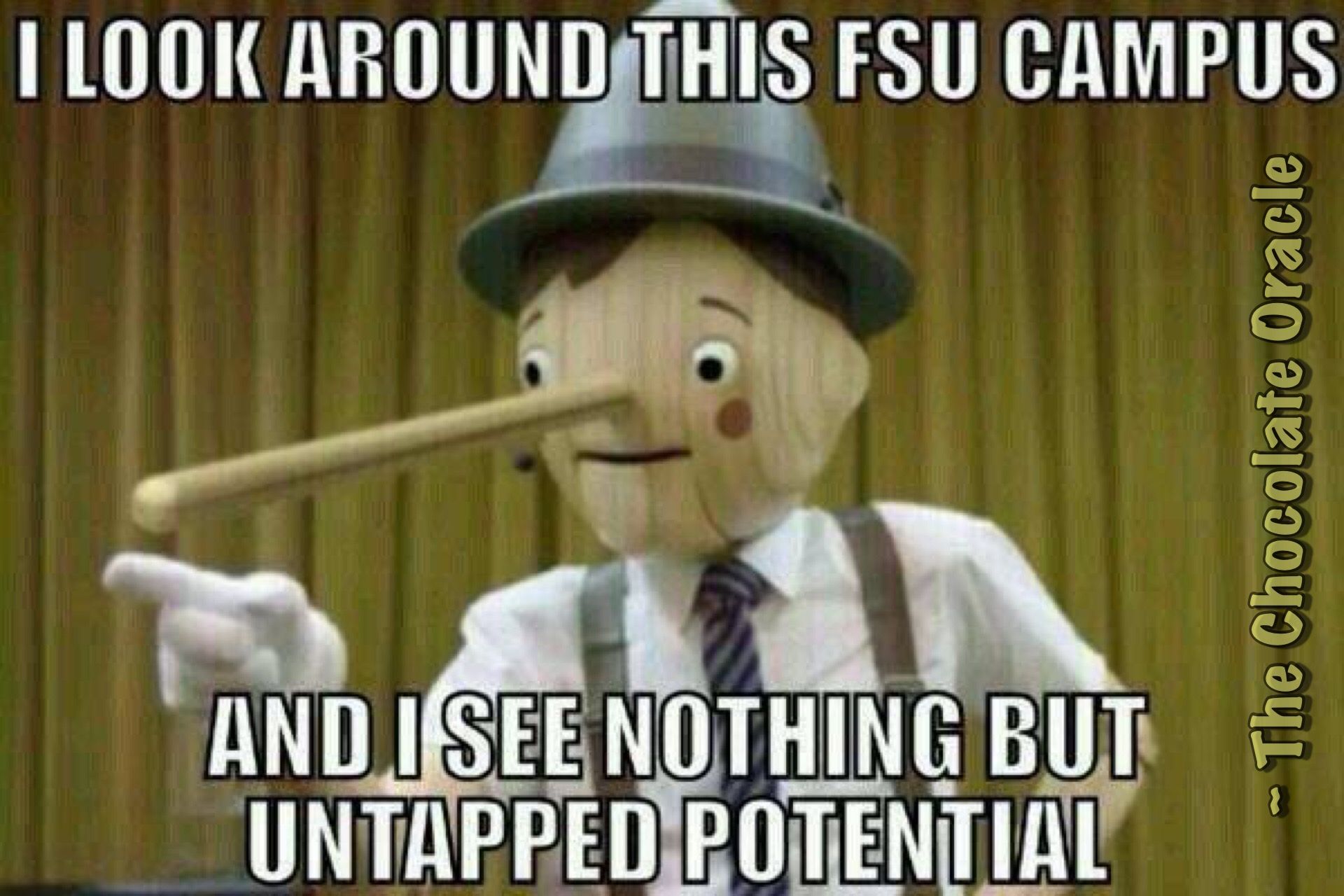 Michigan Fsu, Football Humor, Florida Gators, Florida Girl, Bait, Funny Michigan Fsu, Football Humor, Florida Gators, Florida Girl, Bait, Funny