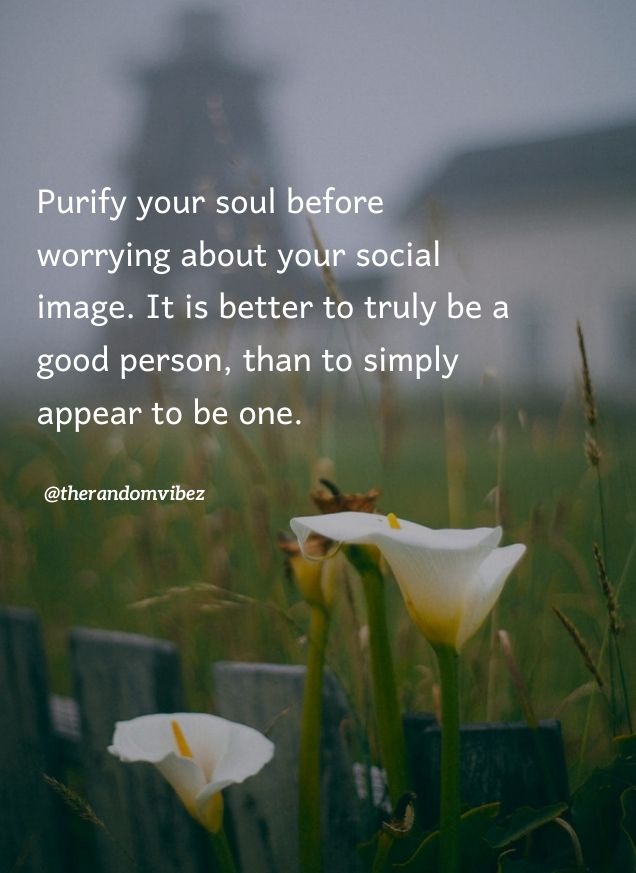 Pure Soul Quotes