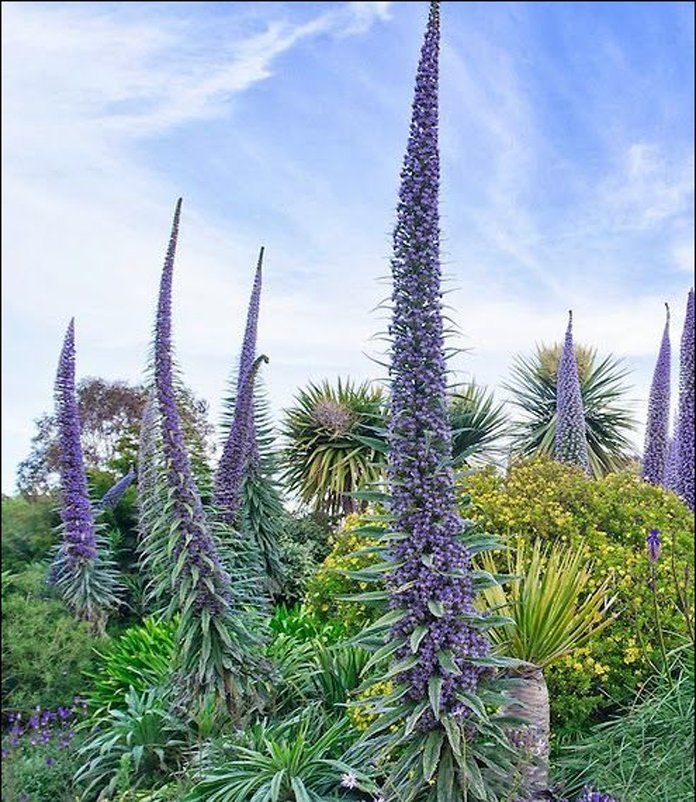 Pin On Planting With Love