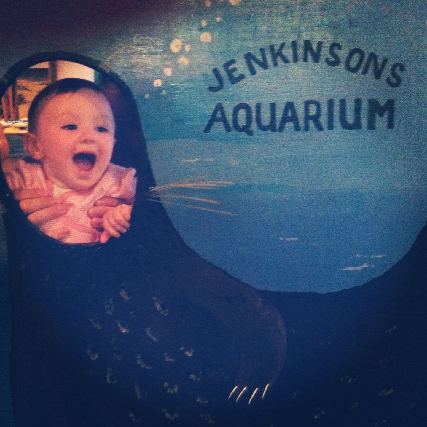 Jenks Aquarium | Jenks aquarium, Sleep eye mask, First birthdays