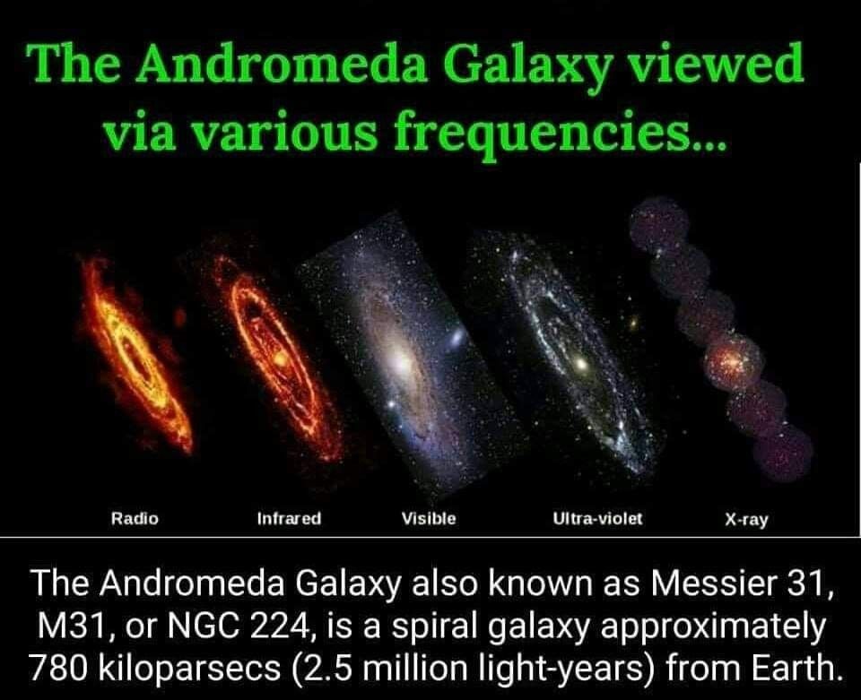Nearest Galaxy To Us Viewed Via Various Frequencies EARTH SPACE 2mass-archives-universe-today
