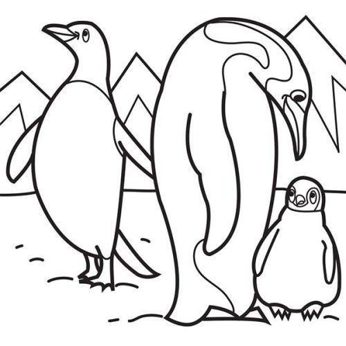Arctic animals coloring pages | ststephenuab.com | Pinterest ... Arctic animals coloring pages | ststephenuab.com | Pinterest ...