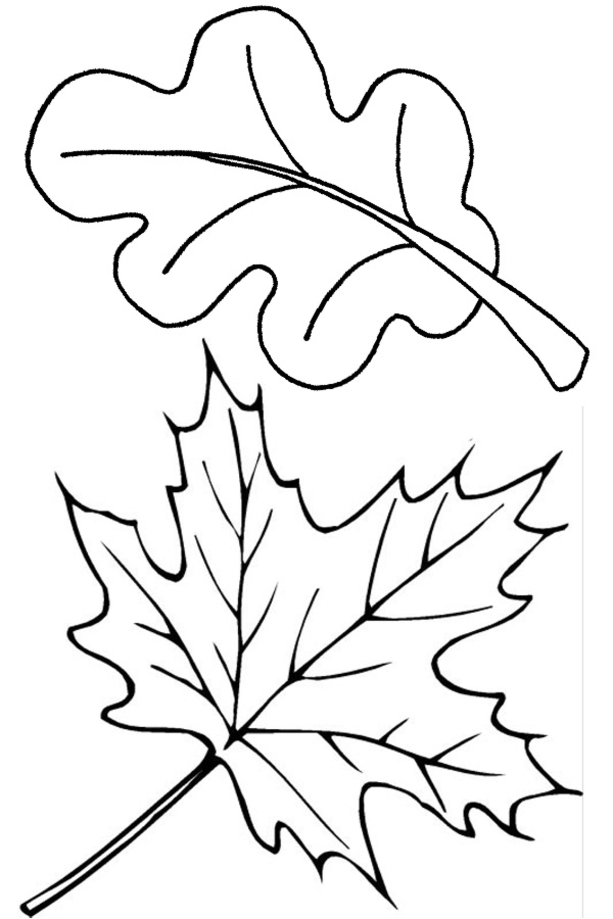 10 Autumn Themed Coloring Pages