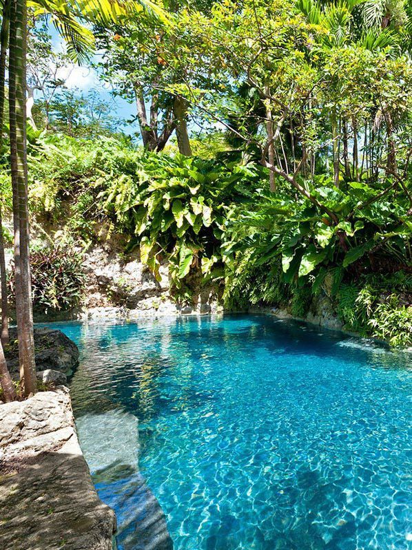 Indoor Swimming Pool Near Me Indoor Swimming Pool Birthday Party Indoor Swimming Pool In House Indoor Swimmi Swimming Pool Designs Backyard Pool Swimming Pools