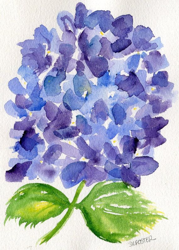 Pin By Richmondmom On Flowers Watercolor Hydrangea Watercolor Flowers Flower Painting