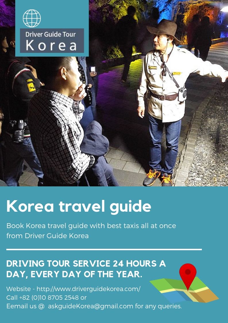 Don't you really think a professional and certified tour guide can be a handy
