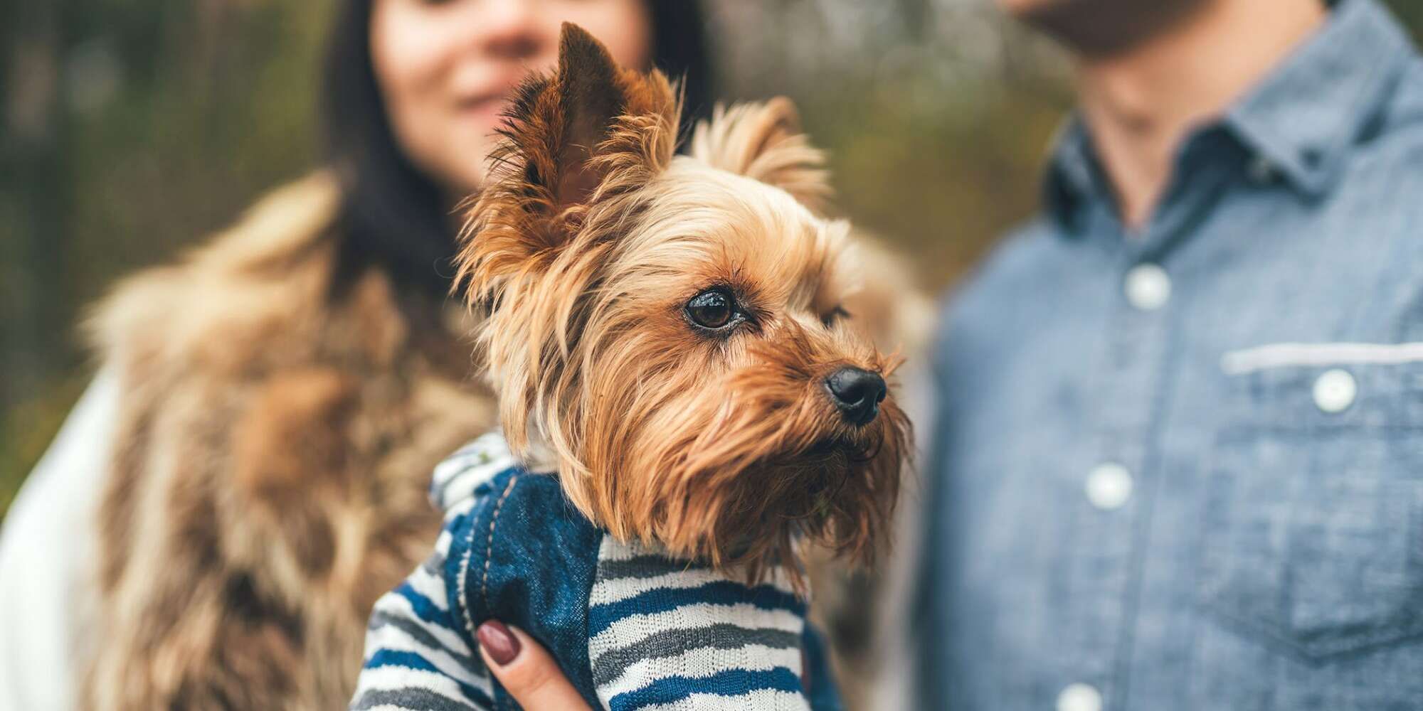 Https www dailypaws dogs puppies dog names rare dog names Rare Https www dailypaws dogs puppies dog names rare dog names Rare