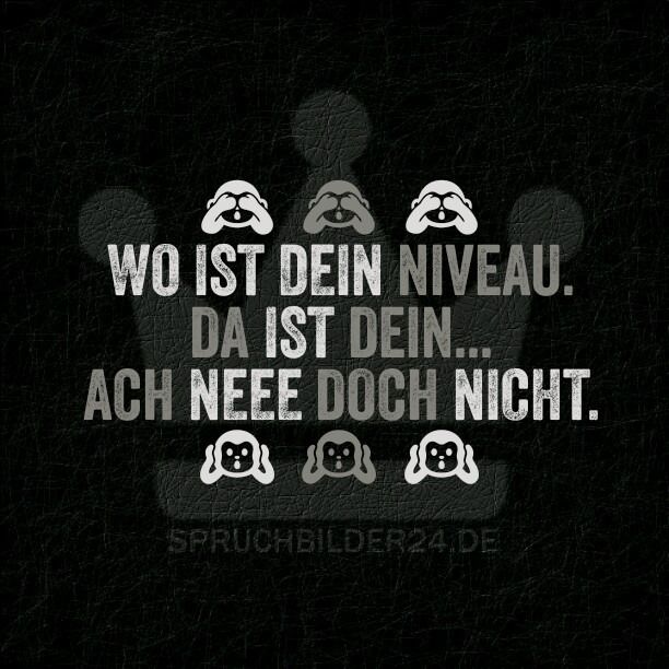 Sprüche Niveau Sprüche Niveau