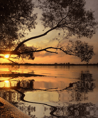 Image result for gif Reflections of Landscapes gif