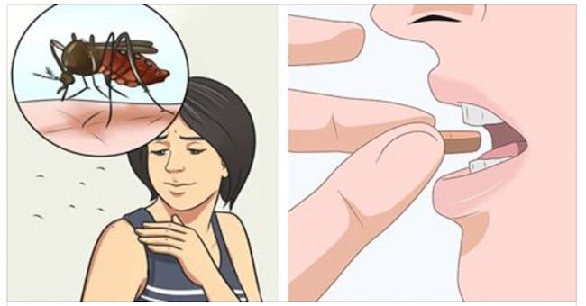 Take This Vitamin To Repel Mosquitoes Positivemed Prevent Mosquito Bites Keeping Mosquitos Away Mosquito