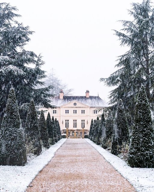 Olga Modjaro || Burgundy, Belarus | countryofcheese.com on Instagram: "Winter in Burgundy. First snow this year in Chablis ❄️⛄️ Domaine Long-Depaquit ✨ 17.01.23 #modjaro_france"