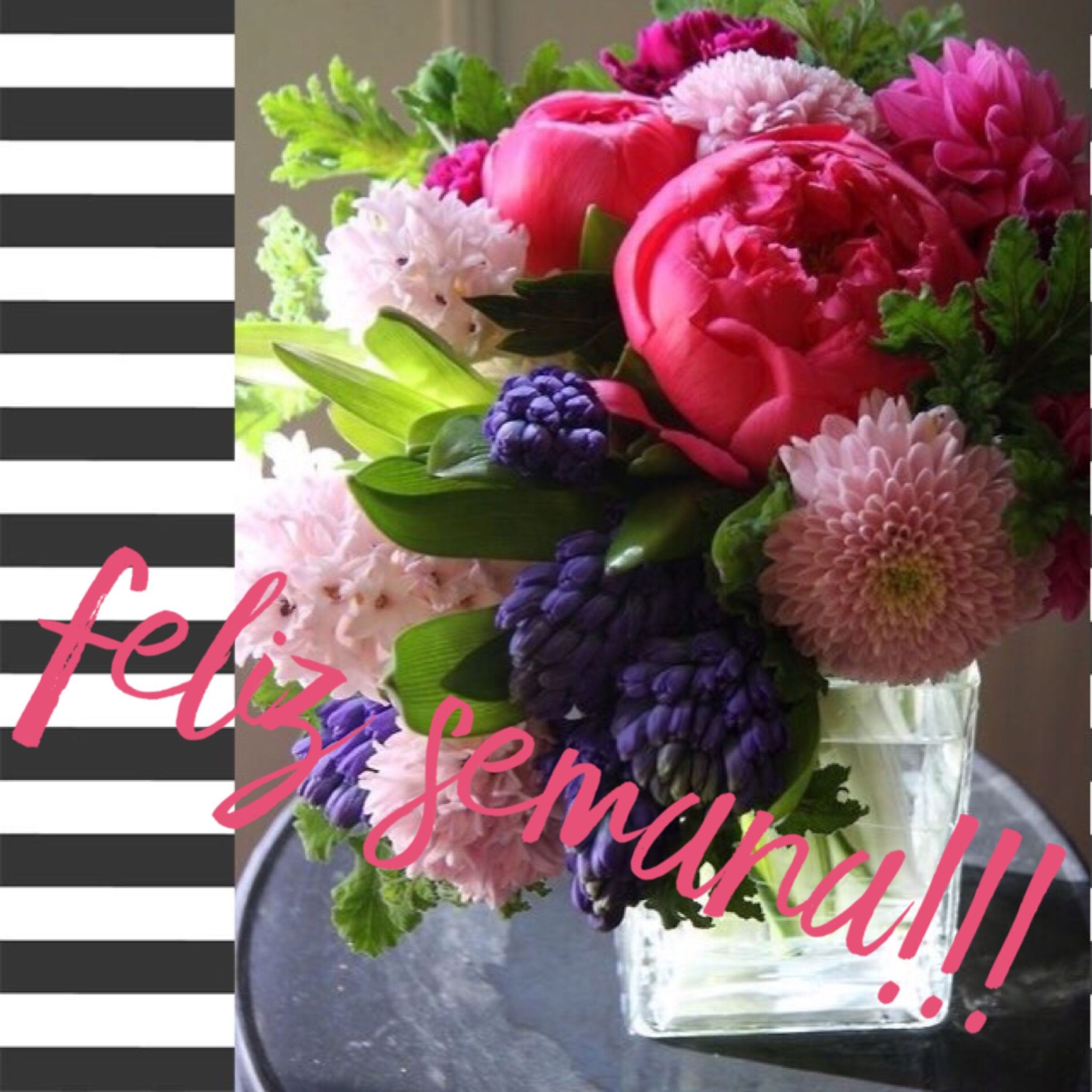 Feliz Lunes / Feliz Semana / Feliz Día / Lunes / Monday / Happy Monday / Happy ...