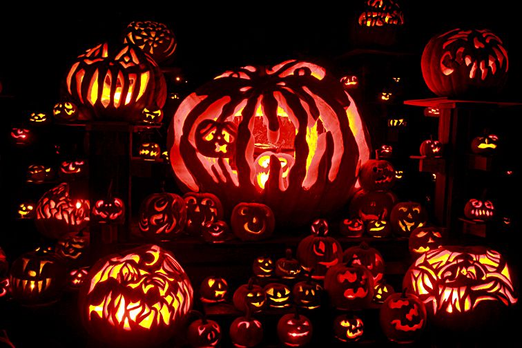 Roger Williams zoo Jack-O-Lantern spectacular 2011 | Jack o lantern ...