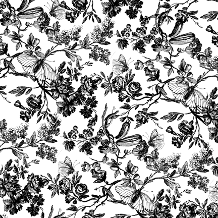 Black White Garden Flowers Graphic B W Pinterest Wallpaper Black White Garden Flowers Graphic
