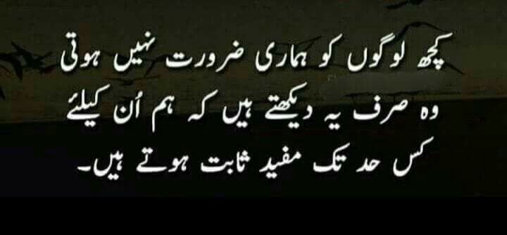 Pin by Soomal mari on urdu Poetry feelings, Urdu quotes