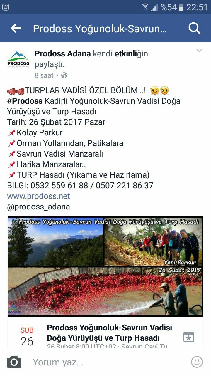 Ayse Adli Kullanicinin Adana Panosundaki Pin Festivaller
