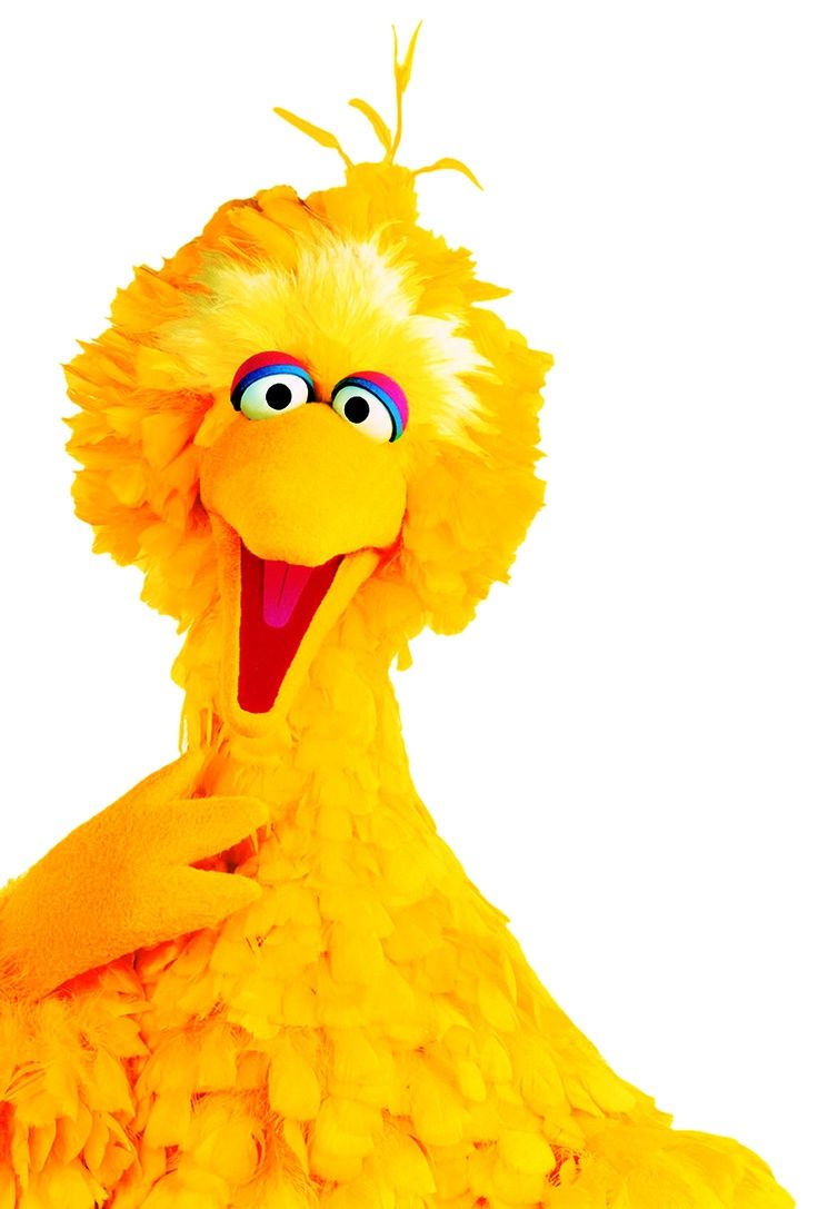 Pin By Marieli On Big Bird Big Bird Sesame Street Sesame Street Big