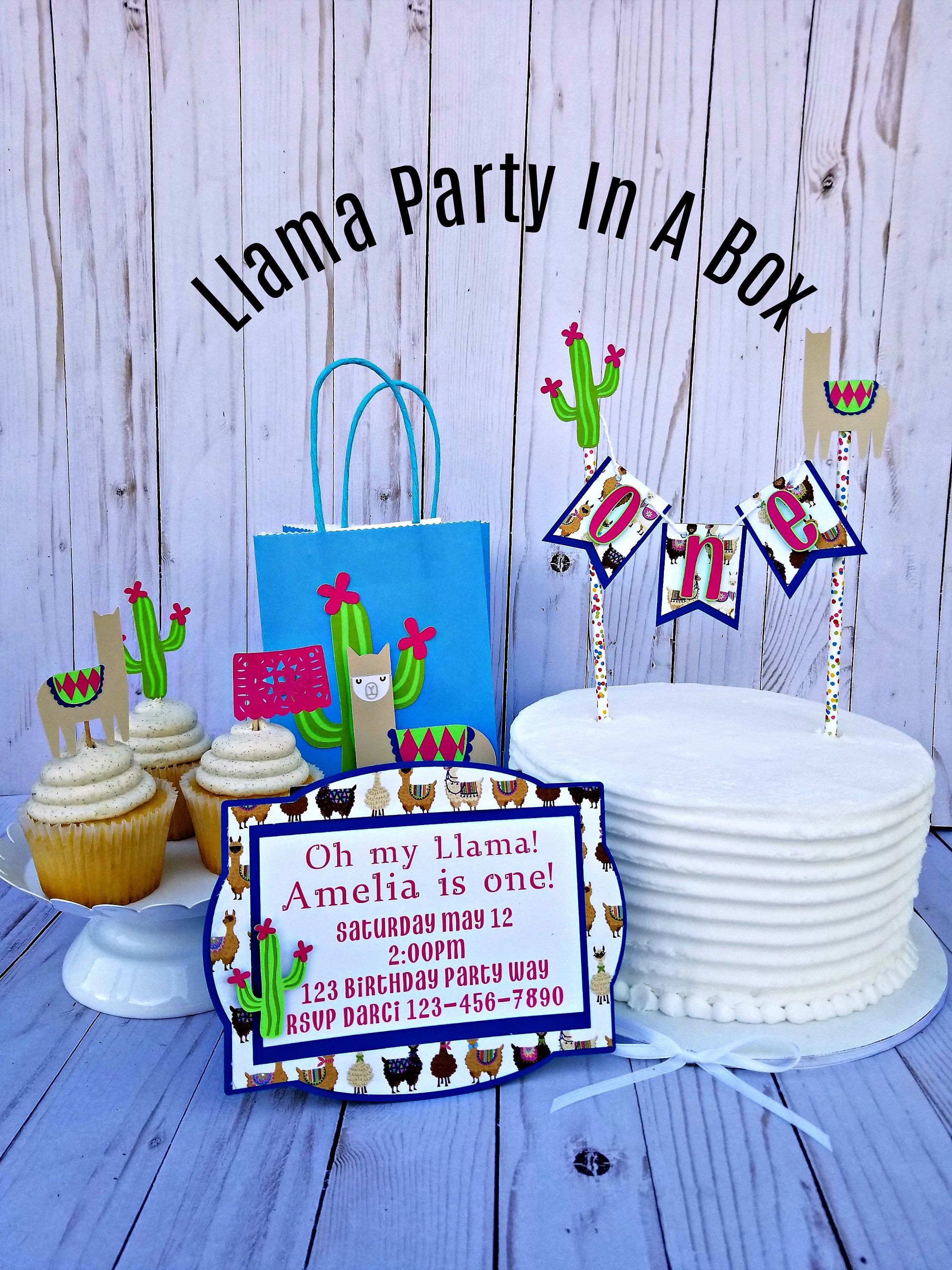 llama party in a box llama party pack llama party bundle llama
