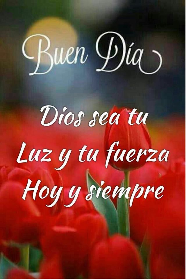 Pin by Gloria arguello on BUENOS DIAS.. ETC Good day wishes