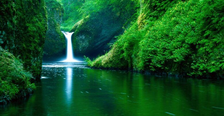 اجمل خلق الله تعالى في الكون مخلوقات رائعة سبحان الله Nature Images Cool Backgrounds Wallpapers Desktop Background Images