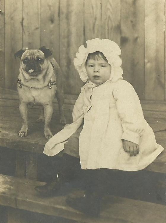 Adorable Toddler Girl And Pet Pug Dog Circa 1915 Cute Pugs Pugs