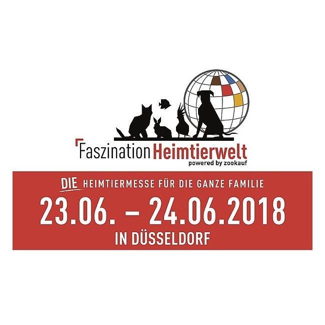 Alten Menschen Helfen Geld Verdienen Alten Menschen Helfen Geld Verdienen