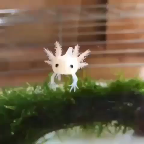 Hi Baby Cute Video Cute Funny Animals Animals Beautiful Cute Baby Animals Hi Baby Cute Video Cute Funny Animals Animals Beautiful Cute Baby Animals