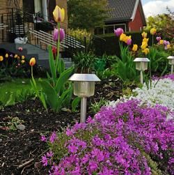 Solar Patio Lanterns Placing Lights Inside Of Your Garden Enables Solar Patio Lanterns Placing Lights Inside Of Your Garden Enables You To See