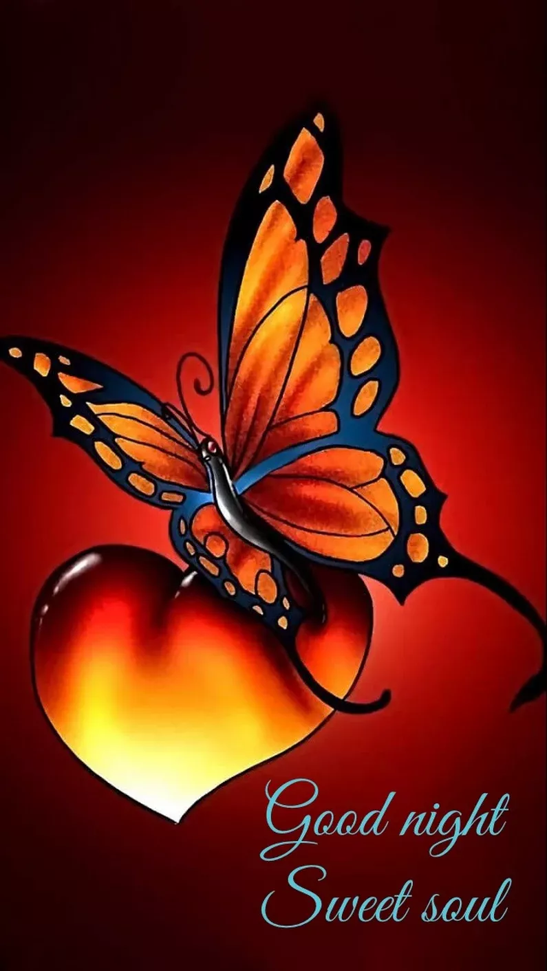 Swell Beautiful Butterfly Tattoos Colour Swell Beautiful Butterfly Tattoos Colour