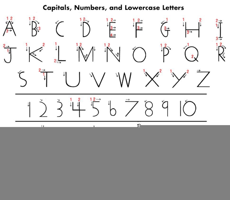 38 How To Form Letters Correctly Worksheet Letter worksheets, Letter