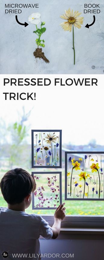 Mother's day craft ideas- PRESS FLOWERS in 3 MINUTES -