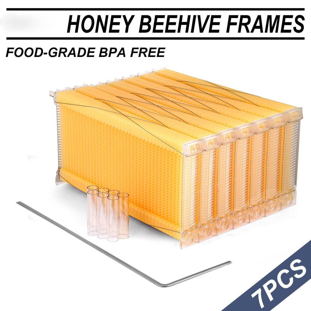 US 7PCS Free Flowing Honeycomb Beehive Wax Frames Beehive Kits for Beehive Nest