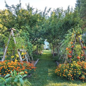 In 1985, documentary filmmaker Pamela Page and husband Igor Jozsa, an architect… Potager Garden, Veg Garden, Vegetable Garden Design, Garden Cottage, Edible Garden, Kitchen Garden, Backyard Garden, Garden Landscaping, Vegetable Gardening