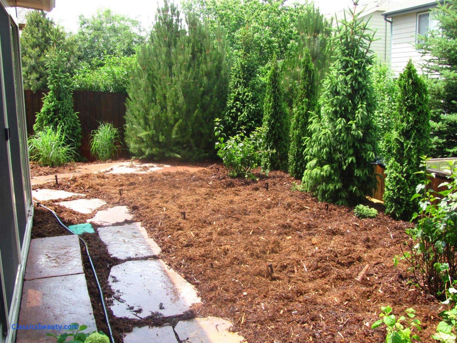 Image Result For Privacy Landscaping Pictures Image Result For Privacy Landscaping Pictures
