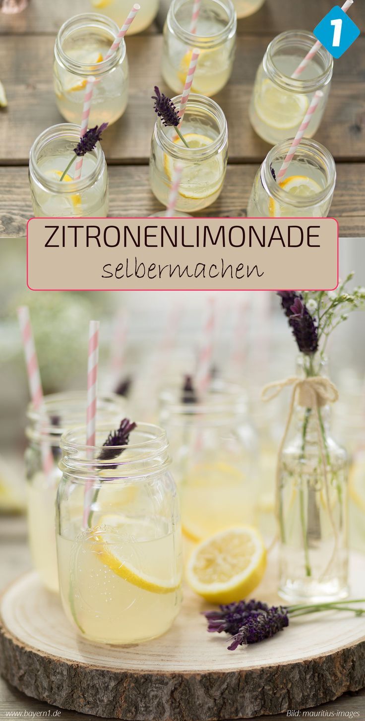Zitronenlimo selbermachen - einfaches Rezept mit Bio-Zitronen und Mineralwasser für eine erfrischende Zitronenlimonade